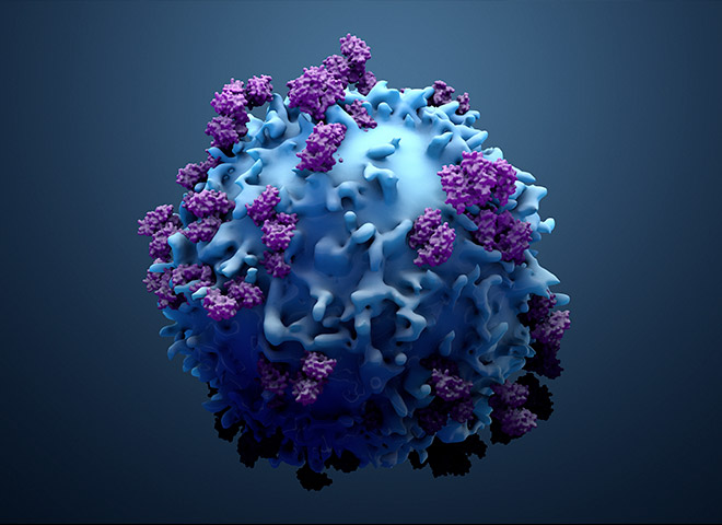 3D-gerenderte Darstellung einer blauen Krebszelle, bedeckt mit violetten Proteinstrukturen auf ihrer Oberfläche, vor einem dunklen Farbverlauf-Hintergrund.