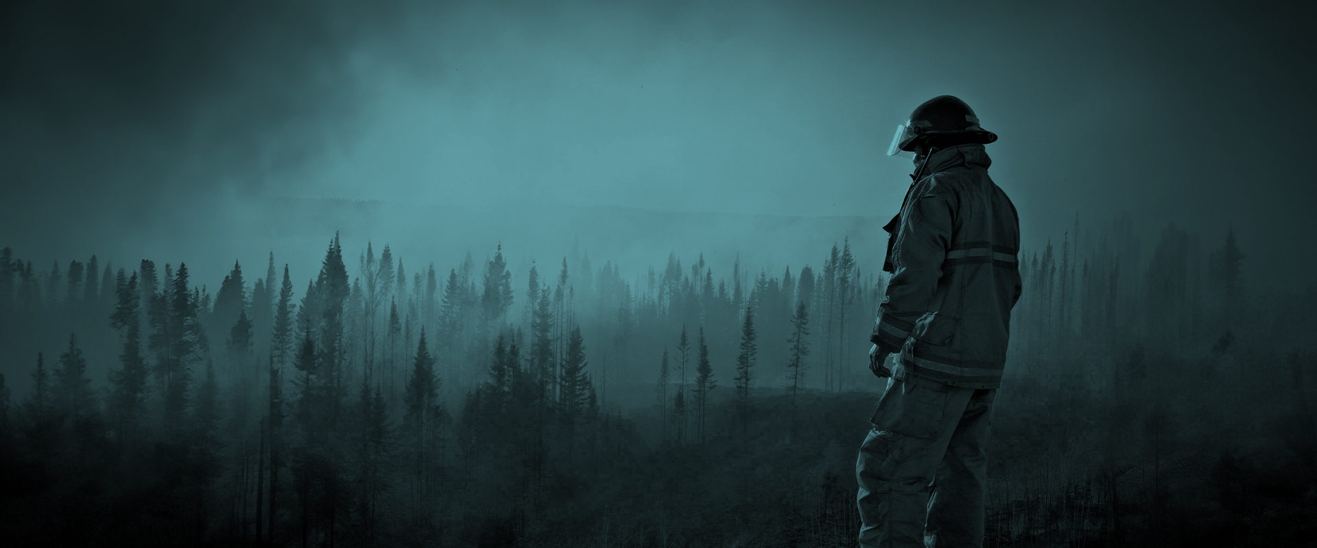 Firefighter in full gear stands in smoky forest, dark trees in background.