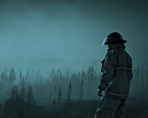Firefighter in full gear stands in smoky forest, dark trees in background.